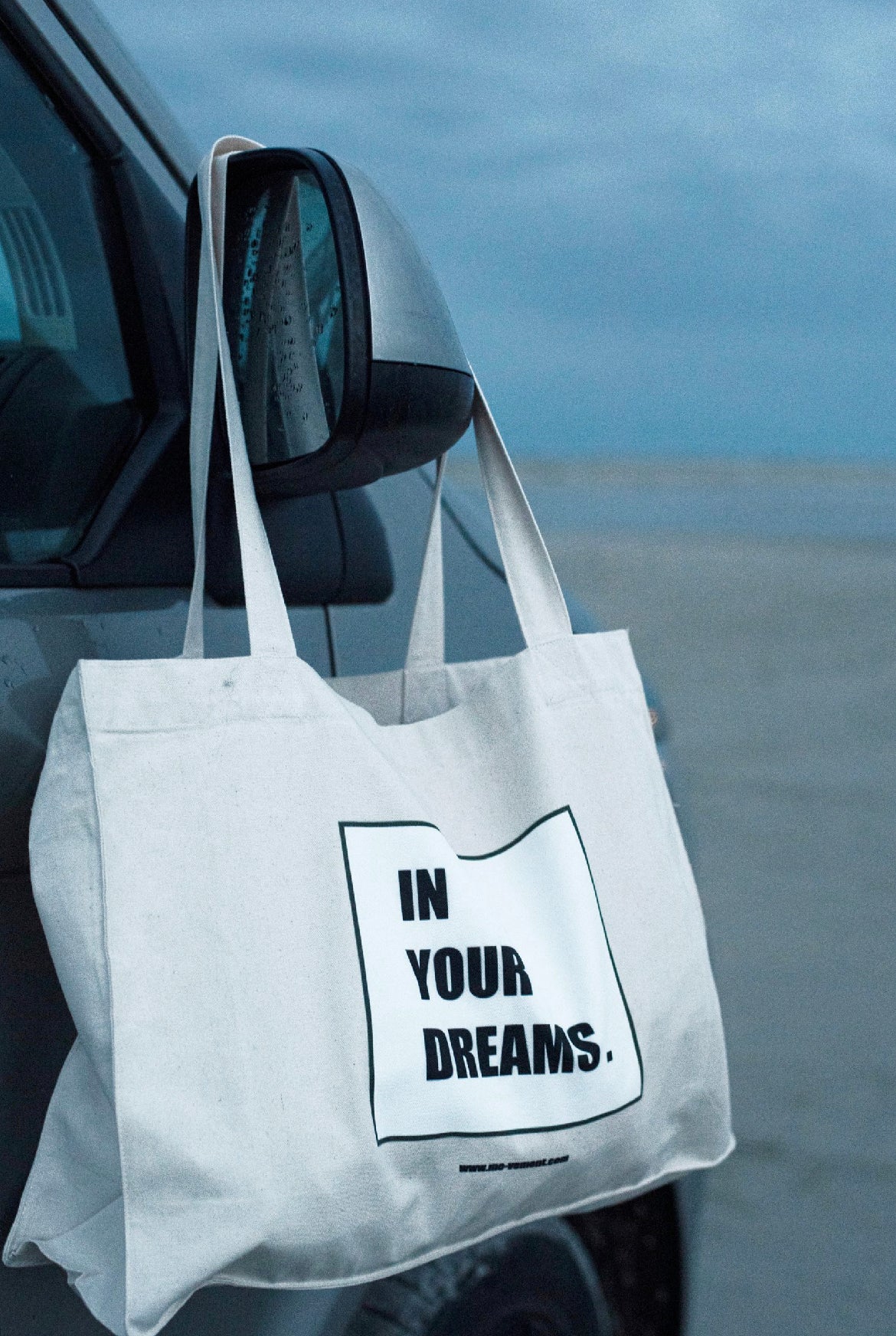 IN YOUR DREAMS - SHOPPER